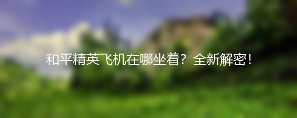 和平精英飞机在哪坐着？全新解密！