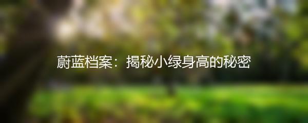 蔚蓝档案：揭秘小绿身高的秘密