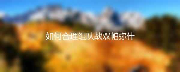 如何合理组队战双帕弥什