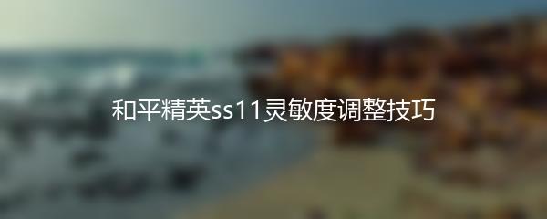 和平精英ss11灵敏度调整技巧