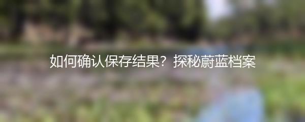如何确认保存结果？探秘蔚蓝档案