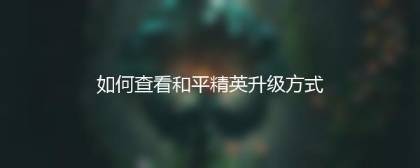 如何查看和平精英升级方式