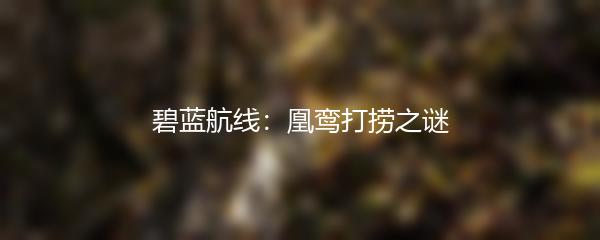 碧蓝航线：凰鸾打捞之谜