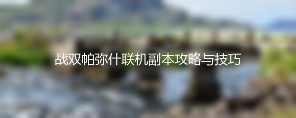 战双帕弥什联机副本攻略与技巧