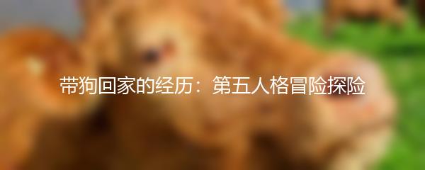 带狗回家的经历：第五人格冒险探险