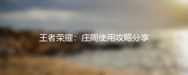 王者荣耀：庄周使用攻略分享