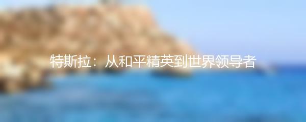 特斯拉：从和平精英到世界领导者