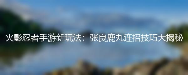 火影忍者手游新玩法：张良鹿丸连招技巧大揭秘