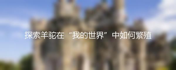 探索羊驼在“我的世界”中如何繁殖