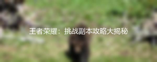 王者荣耀：挑战副本攻略大揭秘