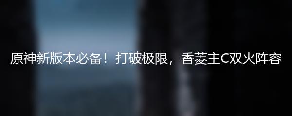 原神新版本必备！打破极限，香菱主C双火阵容