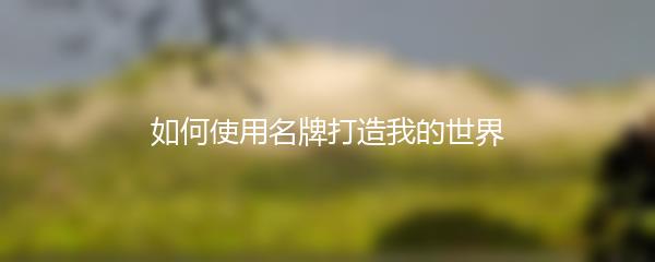 如何使用名牌打造我的世界