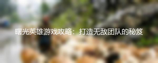 曙光英雄游戏攻略：打造无敌团队的秘笈