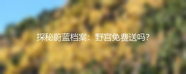 探秘蔚蓝档案：野宫免费送吗？