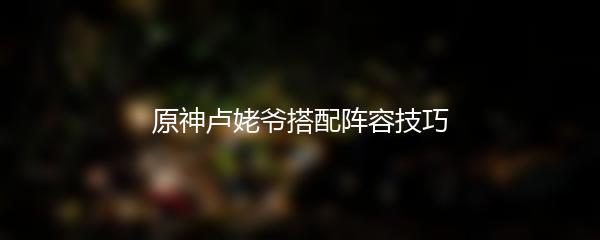 原神卢姥爷搭配阵容技巧