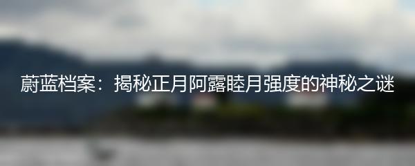 蔚蓝档案：揭秘正月阿露睦月强度的神秘之谜