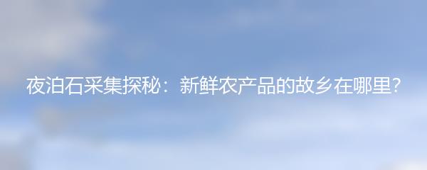 夜泊石采集探秘：新鲜农产品的故乡在哪里？