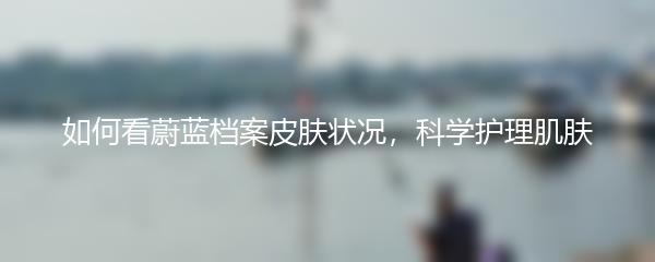 如何看蔚蓝档案皮肤状况，科学护理肌肤
