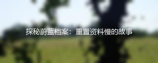 探秘蔚蓝档案：重置资料慢的故事