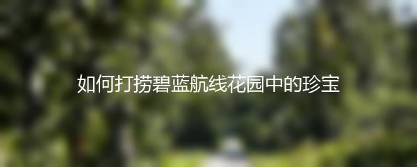 如何打捞碧蓝航线花园中的珍宝