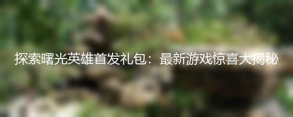 探索曙光英雄首发礼包：最新游戏惊喜大揭秘