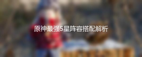 原神最强5星阵容搭配解析