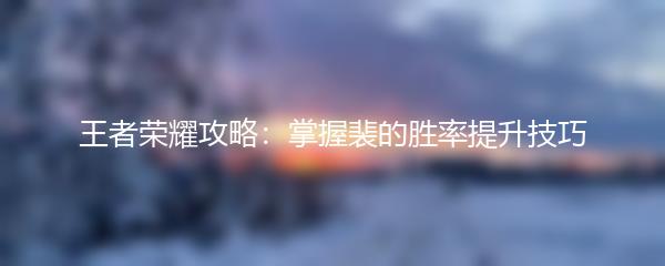 王者荣耀攻略：掌握裴的胜率提升技巧