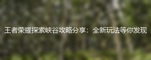 王者荣耀探索峡谷攻略分享：全新玩法等你发现