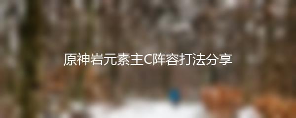 原神岩元素主C阵容打法分享