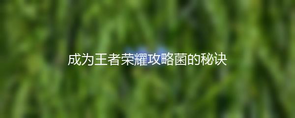 成为王者荣耀攻略菌的秘诀