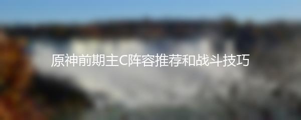 原神前期主C阵容推荐和战斗技巧
