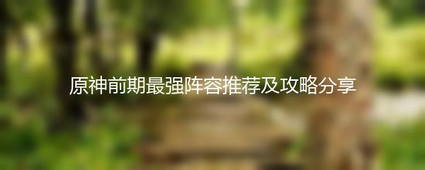 原神前期最强阵容推荐及攻略分享