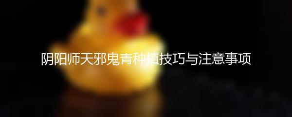 阴阳师天邪鬼青种植技巧与注意事项