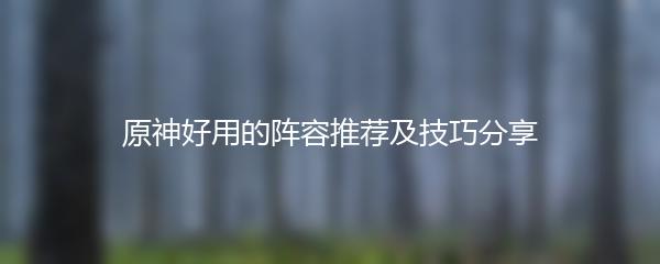 原神好用的阵容推荐及技巧分享