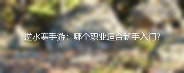 逆水寒手游：哪个职业适合新手入门？