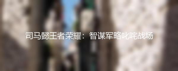 司马懿王者荣耀：智谋军略叱咤战场