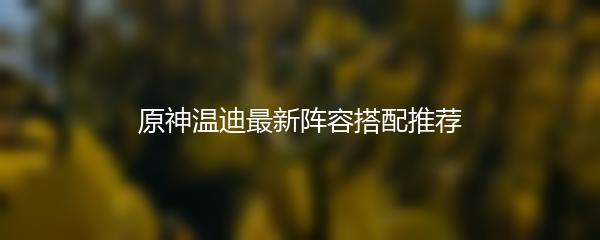 原神温迪最新阵容搭配推荐