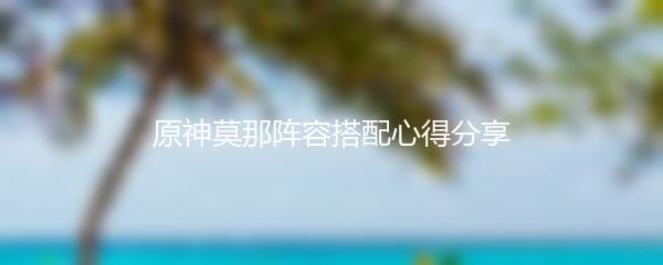 原神莫那阵容搭配心得分享