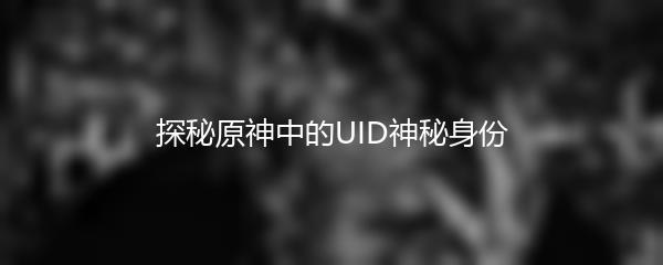 探秘原神中的UID神秘身份