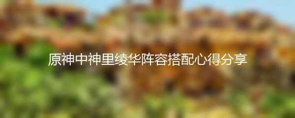 原神中神里绫华阵容搭配心得分享