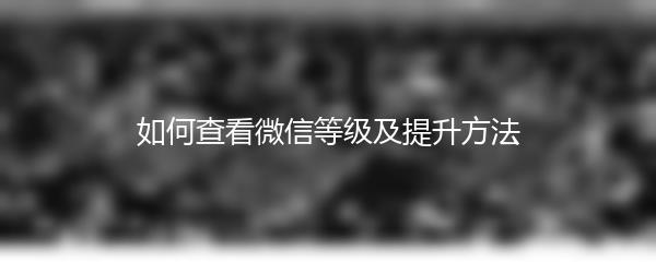 如何查看微信等级及提升方法