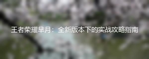 王者荣耀芈月：全新版本下的实战攻略指南