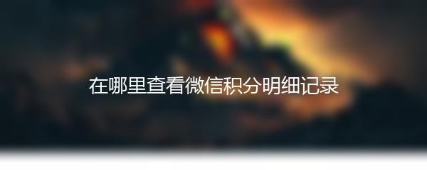 在哪里查看微信积分明细记录