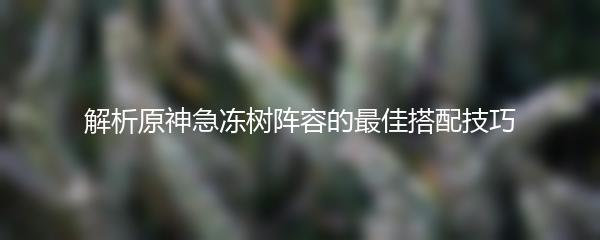 解析原神急冻树阵容的最佳搭配技巧