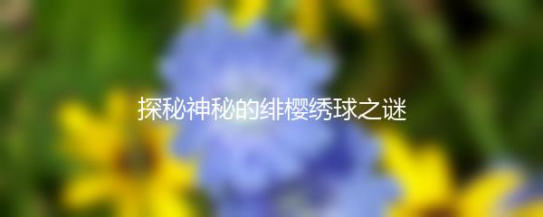 探秘神秘的绯樱绣球之谜