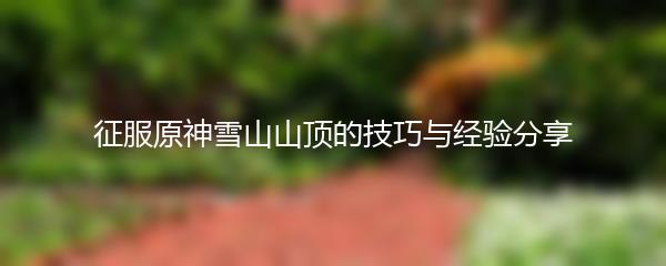 征服原神雪山山顶的技巧与经验分享