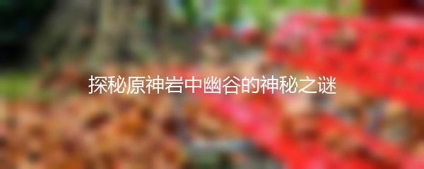探秘原神岩中幽谷的神秘之谜