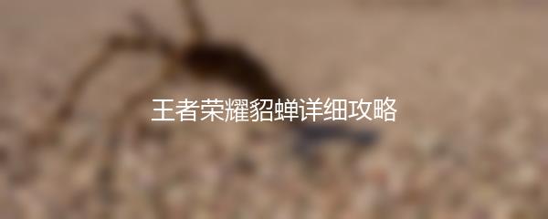 王者荣耀貂蝉详细攻略