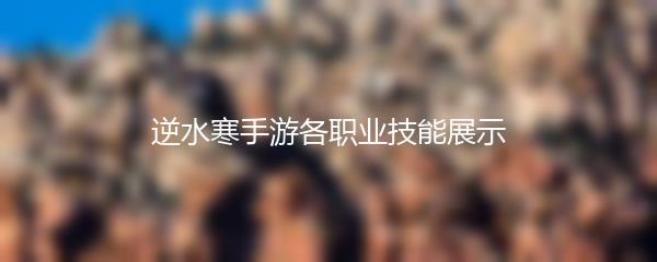 逆水寒手游各职业技能展示