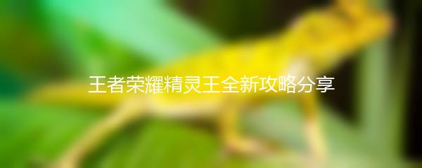 王者荣耀精灵王全新攻略分享